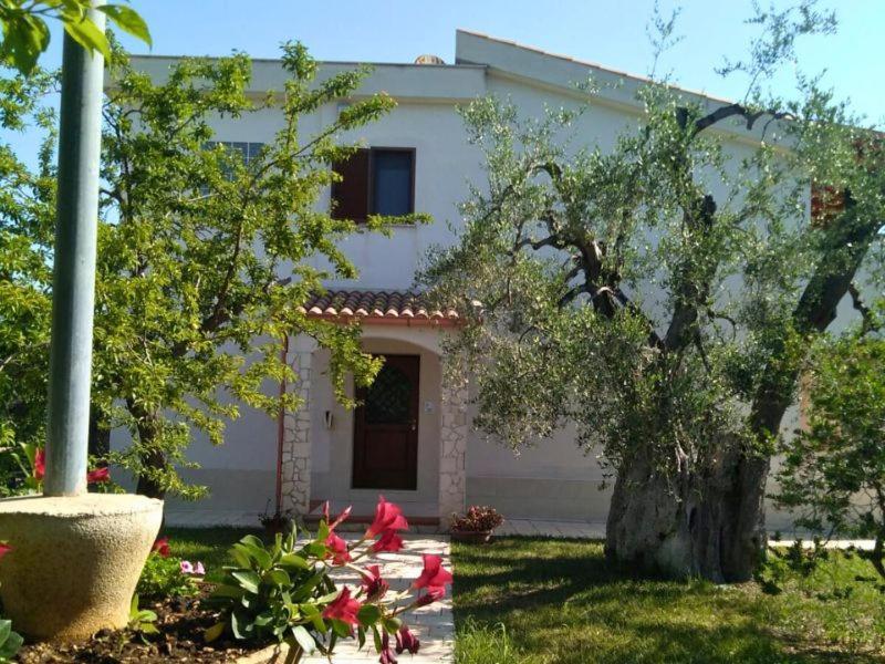 Borgo Cerasa Bed & Breakfast Vieste Bagian luar foto