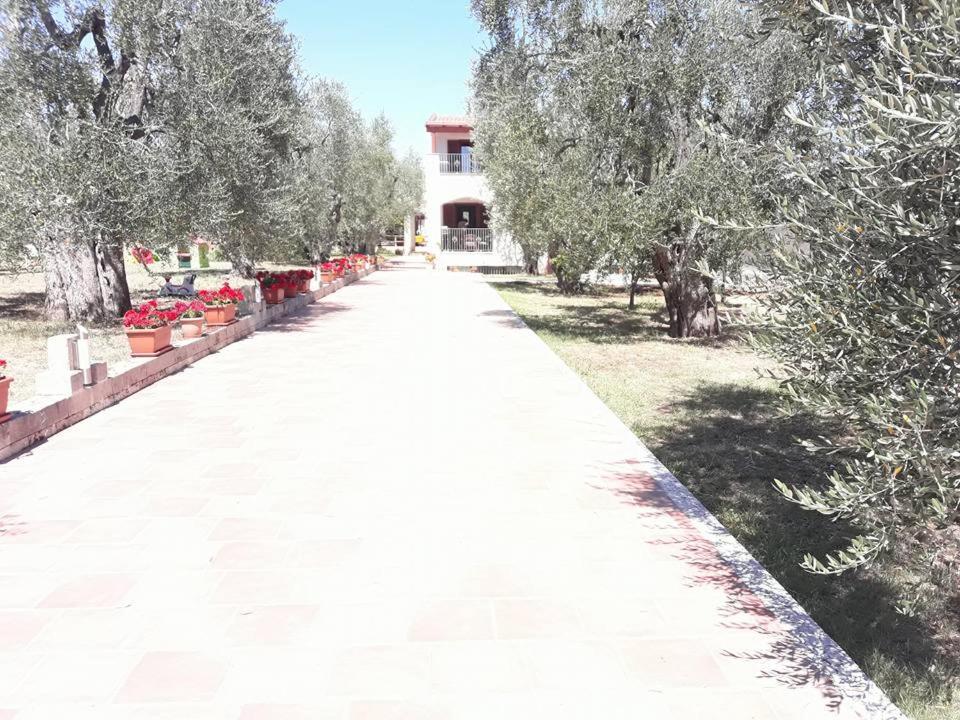 Borgo Cerasa Bed & Breakfast Vieste Bagian luar foto